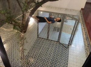 Lưới an toàn giếng trời